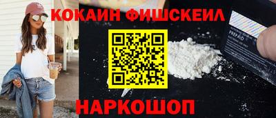стаф Гатчина