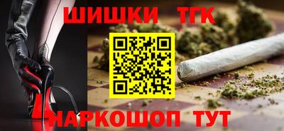 стаф Гатчина