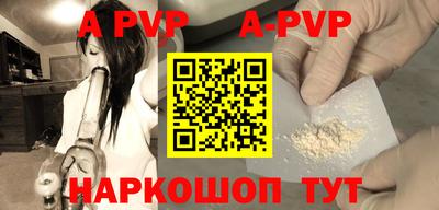стаф Гатчина