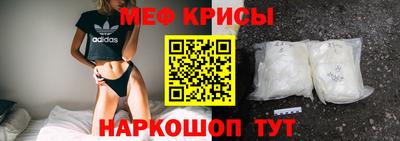 стаф Гатчина