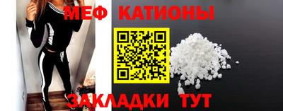 стаф Гатчина